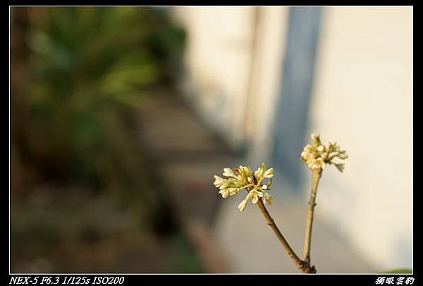 DSC02048.jpg