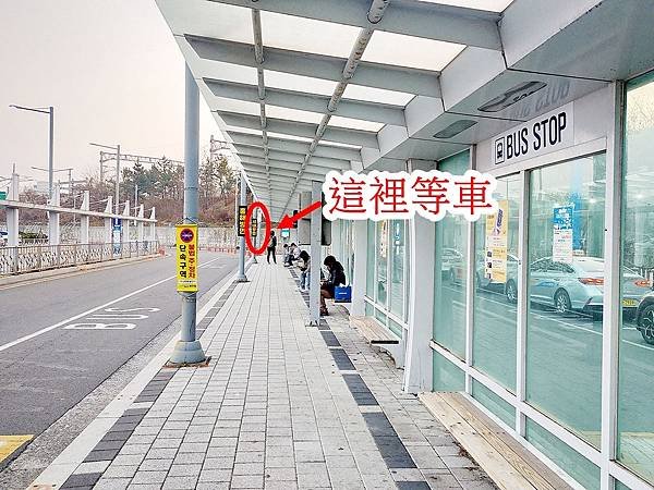 【112年：大邱+浦項-第三天】相生之手、山茶花開時拍攝地(