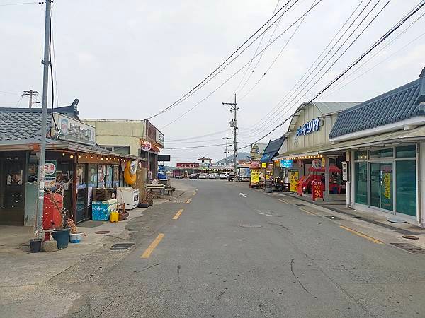 【112年：大邱+浦項-第三天】相生之手、山茶花開時拍攝地(