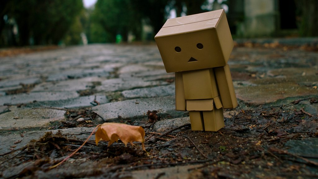 danbo007.jpg