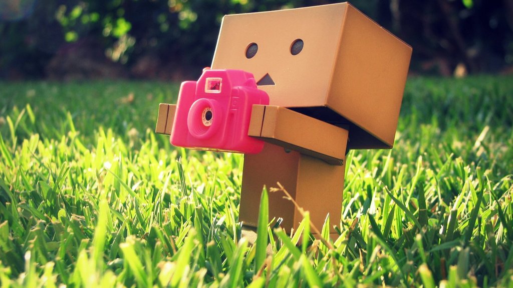 danbo023.jpg