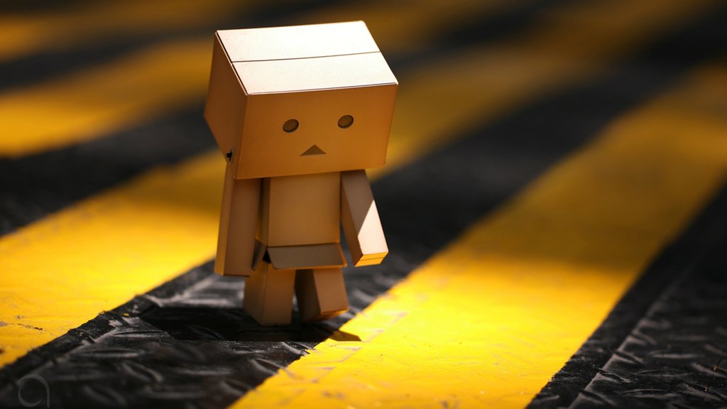 danbo028.jpg