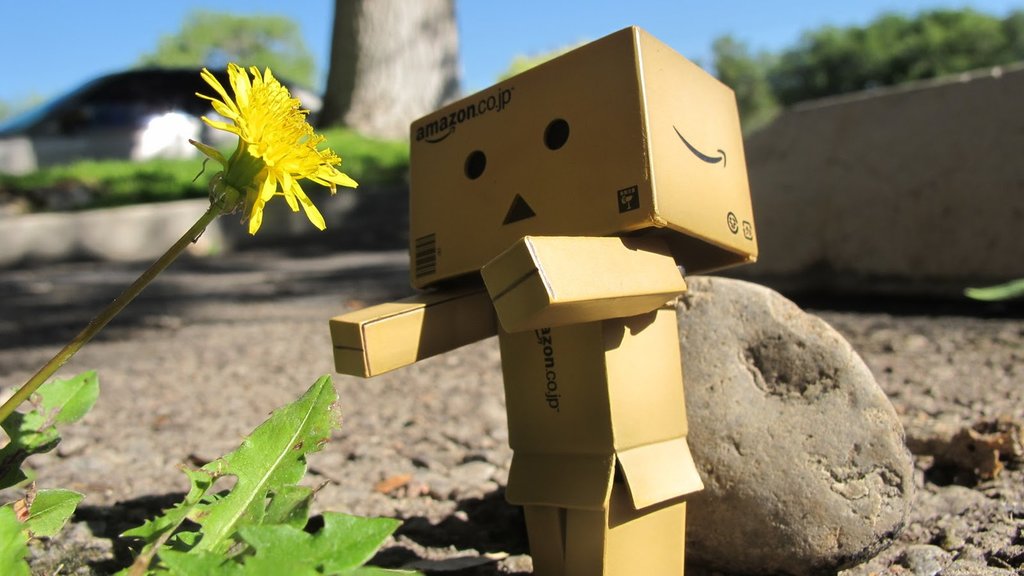 danbo039.jpg