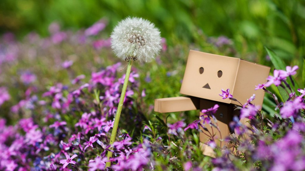 danbo002.jpg