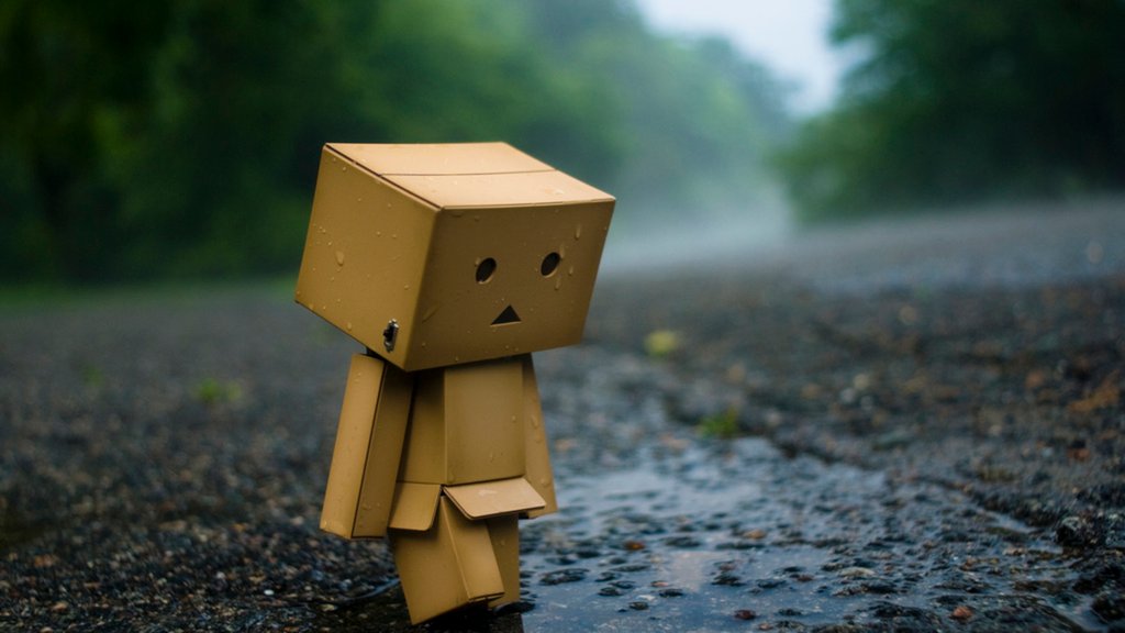 danbo043.jpg