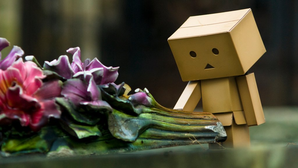 danbo006.jpg