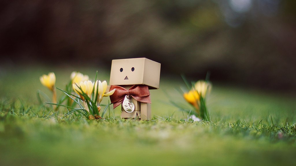 danbo024.jpg