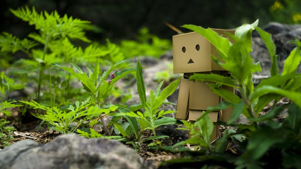 danbo014.jpg