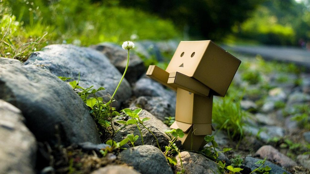 danbo044.jpg