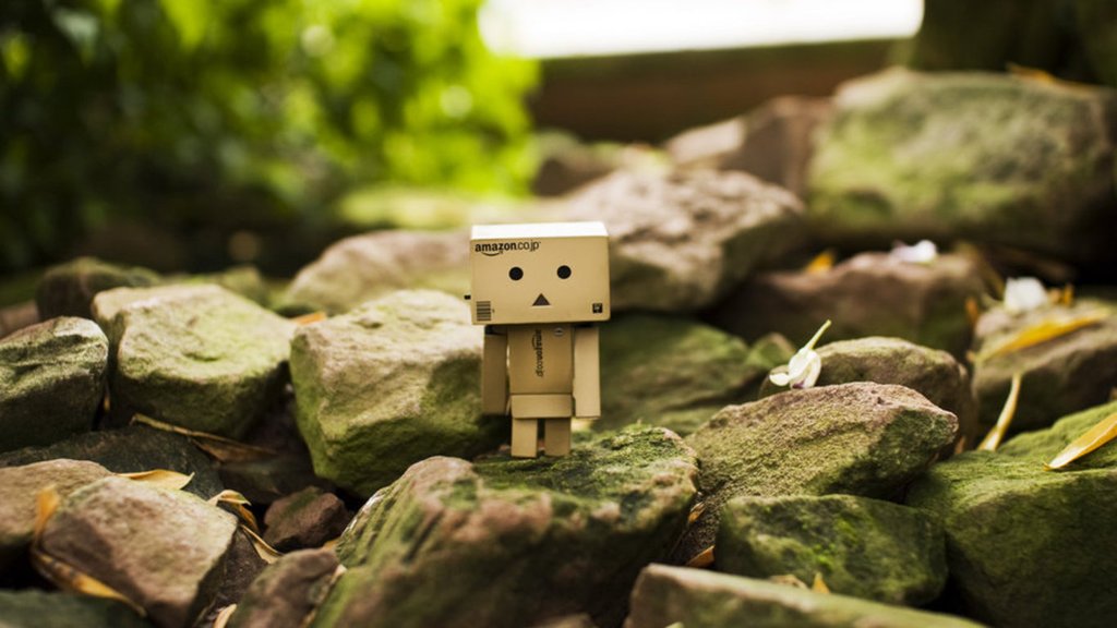 danbo020.jpg