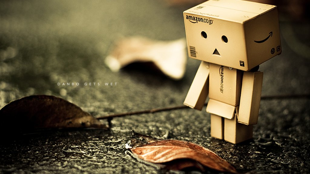 danbo016.jpg