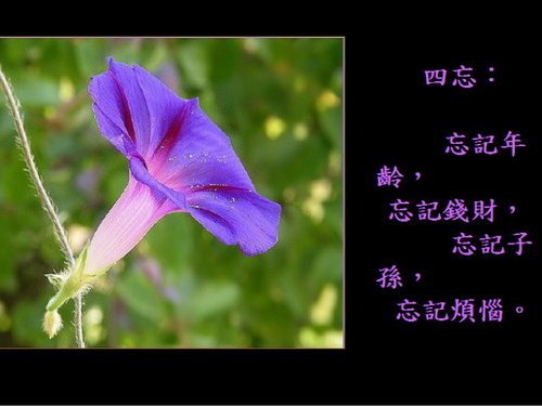 長壽7