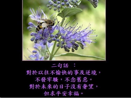 長壽9