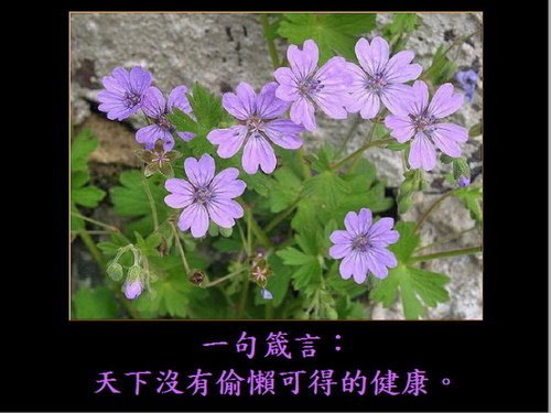 長壽10