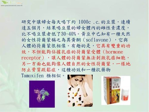 豆漿13