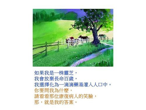 作文5