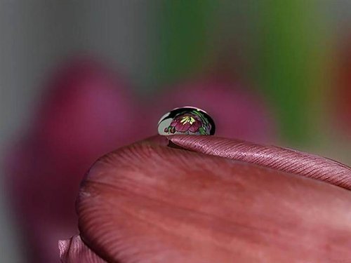 水靈17