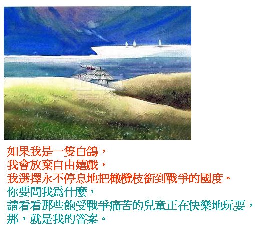 毛敏9