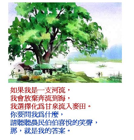 毛敏7