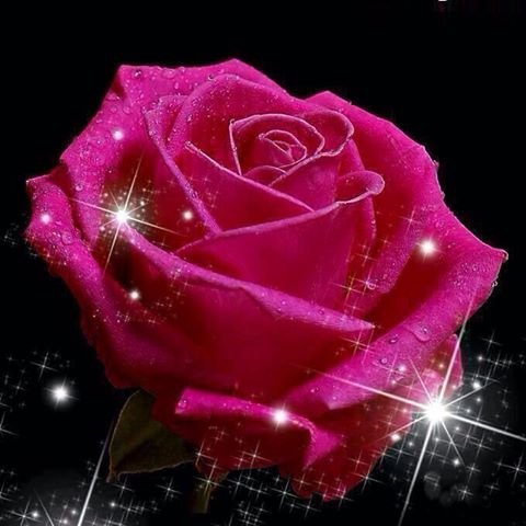 花1
