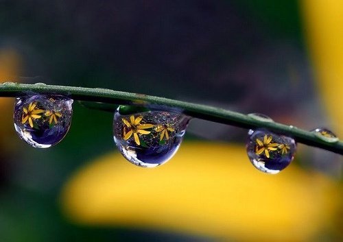 水珠珠11