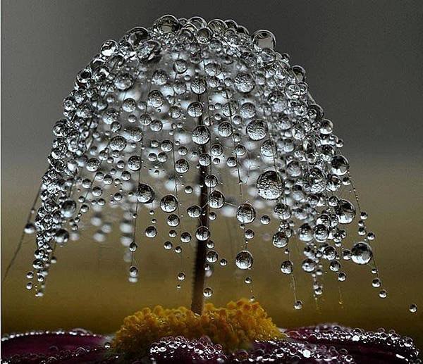 水珠1