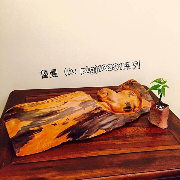 5吋豬3