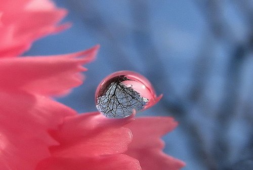 水珠2.jpg