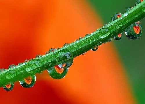水珠7.jpg