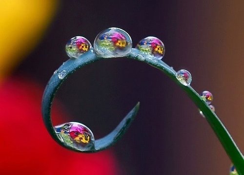 水珠8.jpg