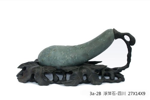 浮萍3.jpg