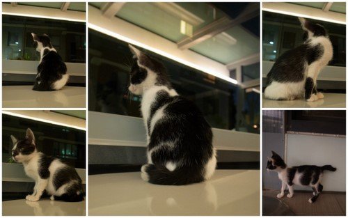 20110708tnr小卡4-5.JPG