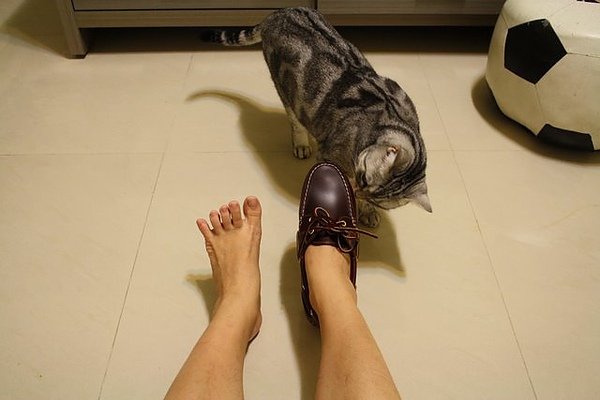 照片 008.jpg
