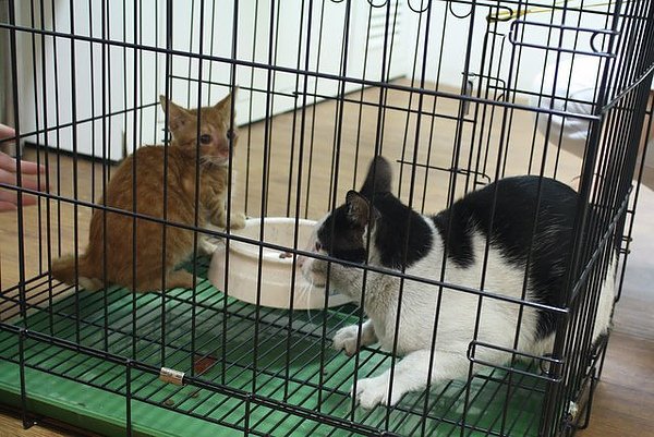照片 019.jpg