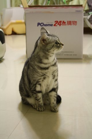照片 085.jpg