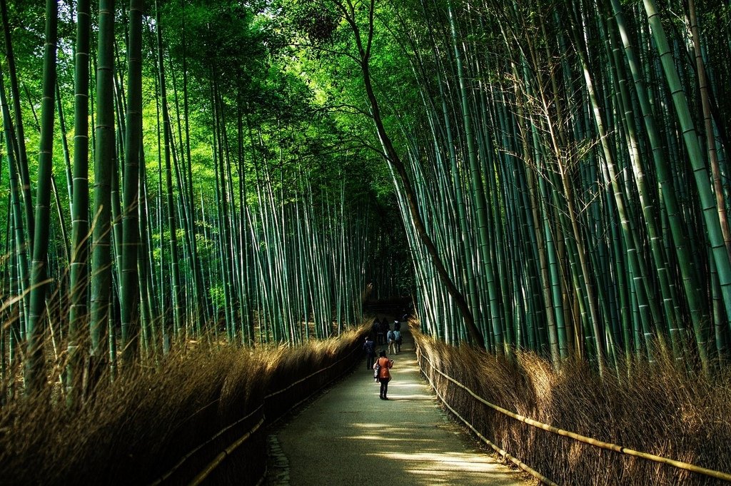 kyoto-1229559_1280.jpg