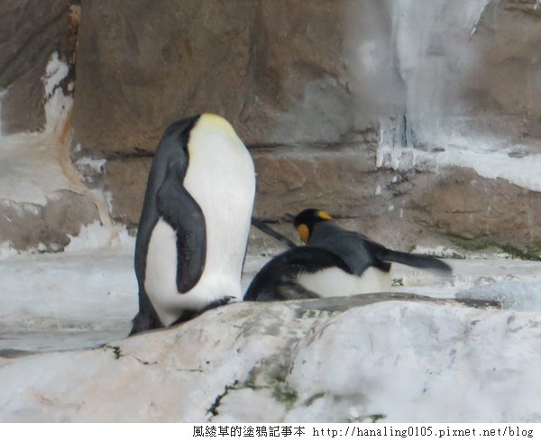 201300825貓空纜車與木柵動物園