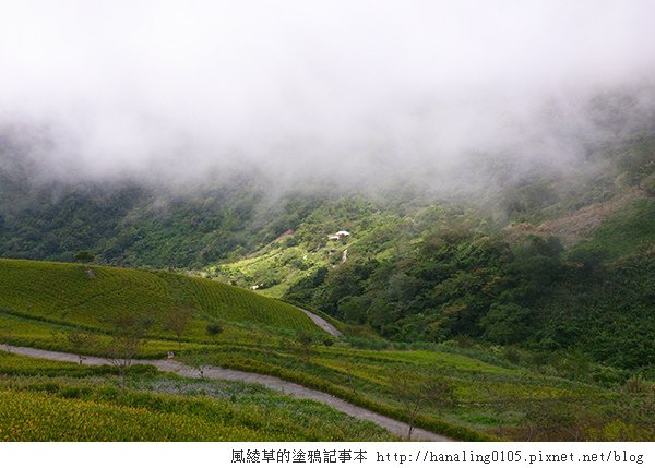 2014083008太麻里金針山.JPG