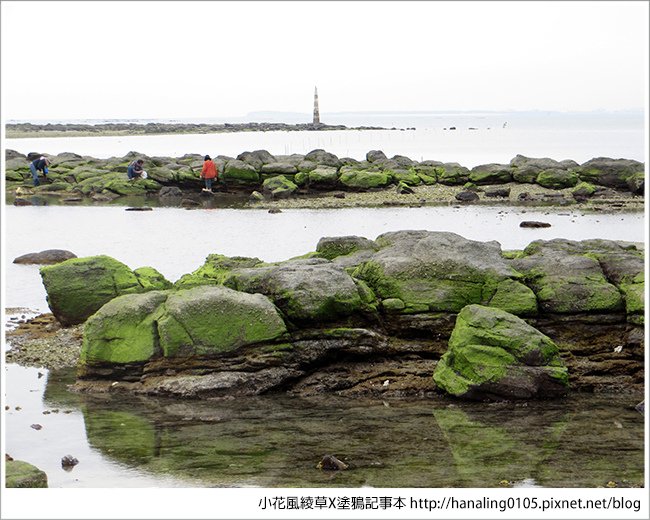 小花小旭回澎湖去