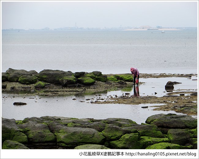 小花小旭回澎湖去