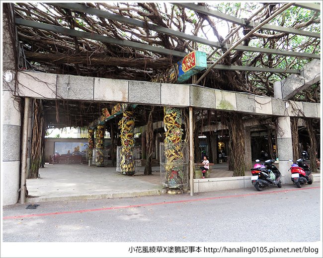 小花小旭回澎湖去