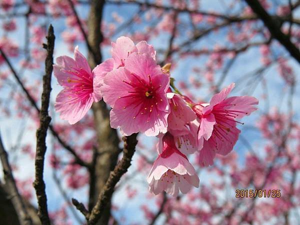 IMG_20150126_092132.jpg