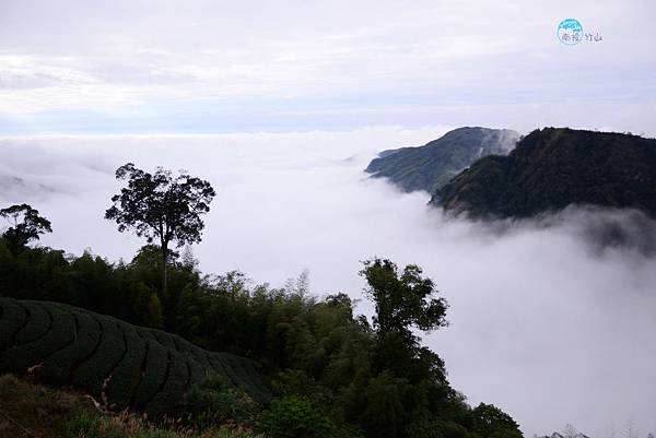 南投．竹山