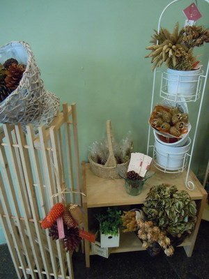 ap_F23_20101109120406466.jpg