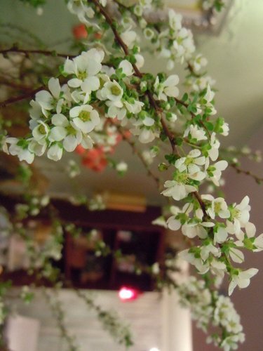 ap_F23_20110119031840125.jpg