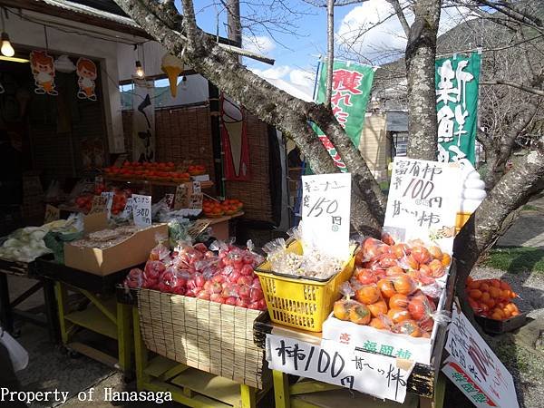 秋月城跡_15.JPG