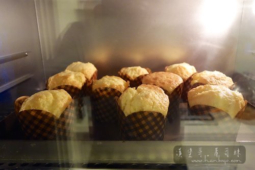 Muffin_馬芬_Hanbogo 835.jpg