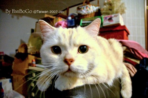 DSC_2576s.JPG