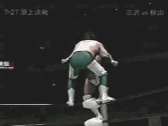 猛虎迴旋坐擊.gif
