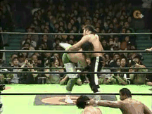 變形綠寶石飛瀑怒濤.gif